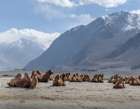 Малый Тибет (Индия)