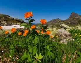 Тур в Ергаки Легенды тайги