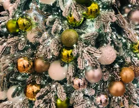 Три Орешка Для Золушки. Рождественская Сказка В Суздале.