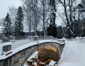 Экскурсия Всё мне видится Павловск холмистый. Сидродельня Бюльви с дегустацией