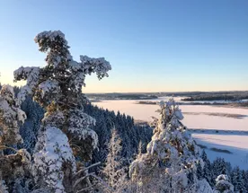 Карелия: Новый год у Талвиукко