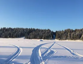 Звезда Удмуртии: сказы деда Тол Бабая