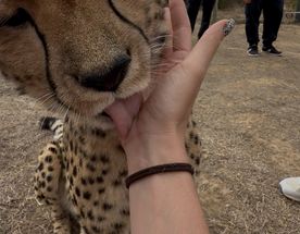 Юар. Африканский микс: сафари, вино и океан.