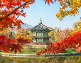 Очаровательное трио Южной Кореи - Сеул, Пусан и о.Чеджу