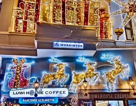 Русский Новый год в Стамбуле с местной