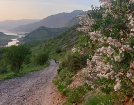 Летний тур Чимган-Ташкент-Самарканд-Бухара и озеро Тудакуль