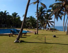 Йога тур в Кералу 22.02-07.03