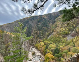 Бархатное Приморье. Полкрая за 10 дней с комфортом.