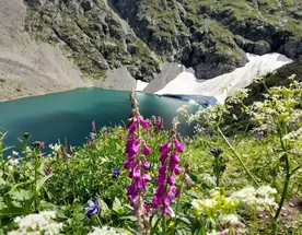 Тайны Уймонской долины