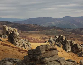 Конный тур Чокпартас - жемчужина Южного Алтая