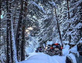 Дикие горы: Off road и конная экспедиция