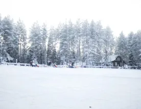 Семейный праздник к нам приходит! В гости к хаски и карельскому Деду Морозу