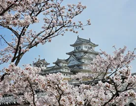 Япония: гастро-тур в сезон Cакуры