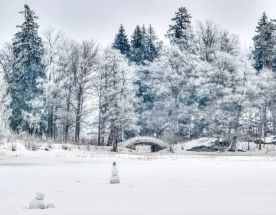 Выборг: погружение в Средневековье за два дня