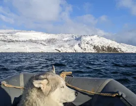 Дикий пляж, скалы и морские обитатели.