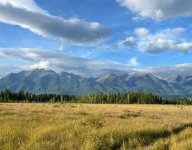 Долина Аршанов: Путешествие к Источнику Силы и Красоты