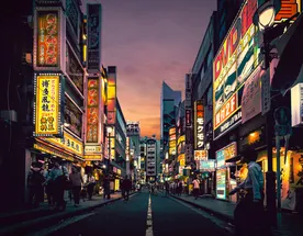 Япония. Неоновый дзен и ароматы Сакуры.