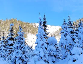 Увлекательное путешествие на Мамай одним днем