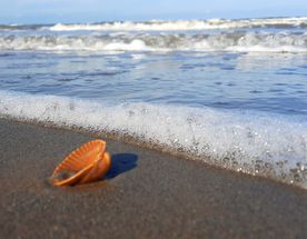 Горы и море