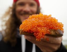 Камчатка: увидеть максимум. Всё включено