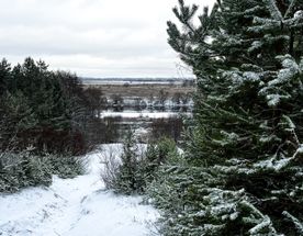 Зимний поход по тропе Паустовского в Солотче