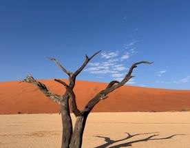 Намибия - земля дюн, пустынь и вечных горизонтов