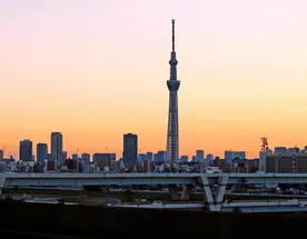 Цветущая Япония вне времени и эпохи