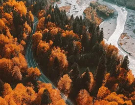 Кавказская Швейцария. Золотая осень в Домбае