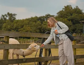 Лето в Корее: Сеул-Пусан-Чеджу