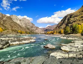 Дивный, Сказочный Алтай. Вариант проживания - Стандарт