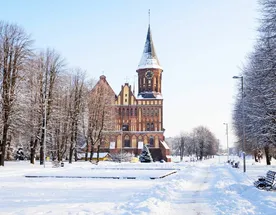 Калининград! Рождественская сказка!