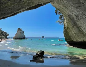 Новая Зеландия: туда и обратно