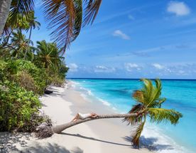 Тодду Magic: ретрит с йогой в гамаках и саунд-хилингом