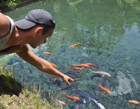 Сингапур-Бали: Гармония современности и экзотики.