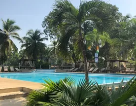 Берег Слоновой Кости: Культурная одиссея на 7 дней по Кот-д Ивуару