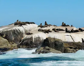 Юар. Кейптаун