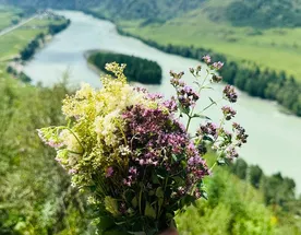 Аюрведа йога-тур Сила гор