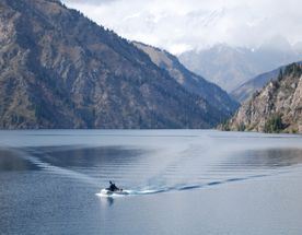 Весенние цветение альпийских лугов и горные озера южной Киргизии