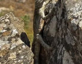 5 уникальных чудес Азербайджана