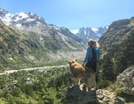 Нетипичное Приэльбрусье с аляскинским маламутом!