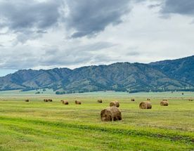 Другой Алтай - Эконом