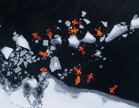 Топ Териберки за 3 дня + развлечения