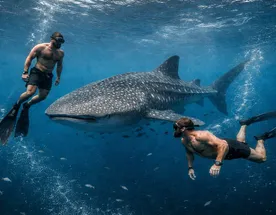 Мальдивы. Сафари по островам. Тропическое приключение в стиле Последний Герой.