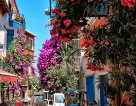 Из Стамбула — на живописные Принцевы острова!