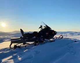 Таёжное царство Алтая
