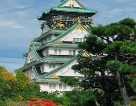 Цветущая Япония! Осака Киото Нара.