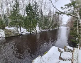 Остров Перепутный. Серый гранит, изумрудные ели и белый снег