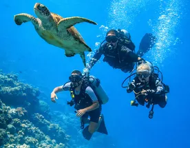 Стань Дайвером — дайвинг кэмп на Мальдивах