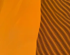 Алжир. Настоящая Сахара