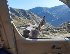 Тайны гор 6 дней